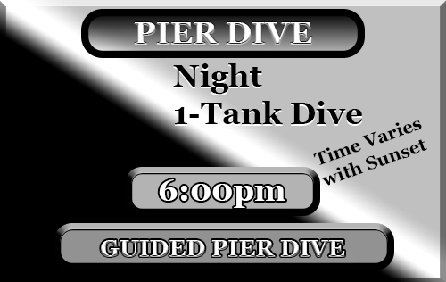 Night Dive Pier