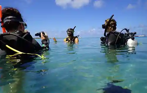 Discover Scuba Diving with One-Tank Dive