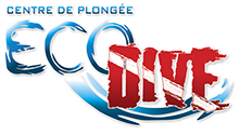 EcoDive