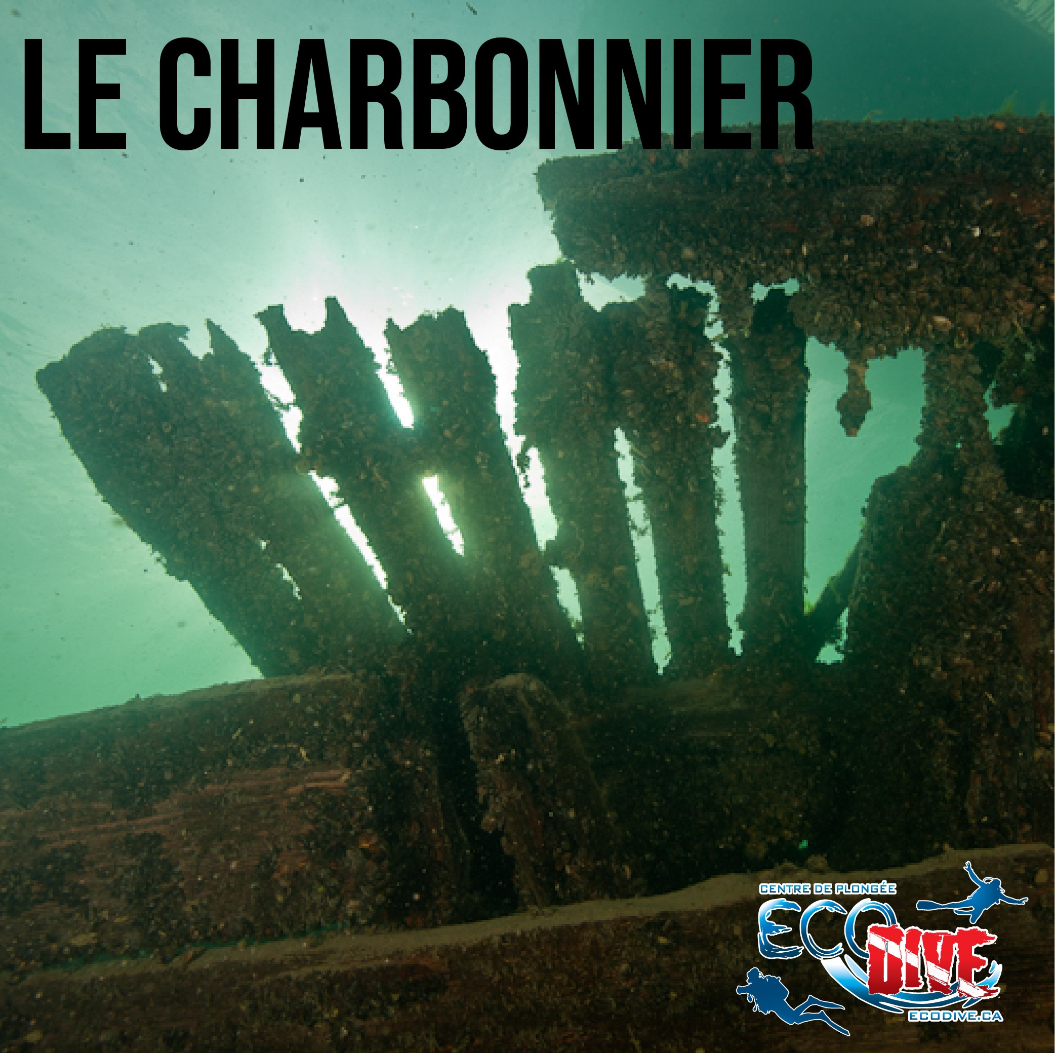 Le Charbonnier