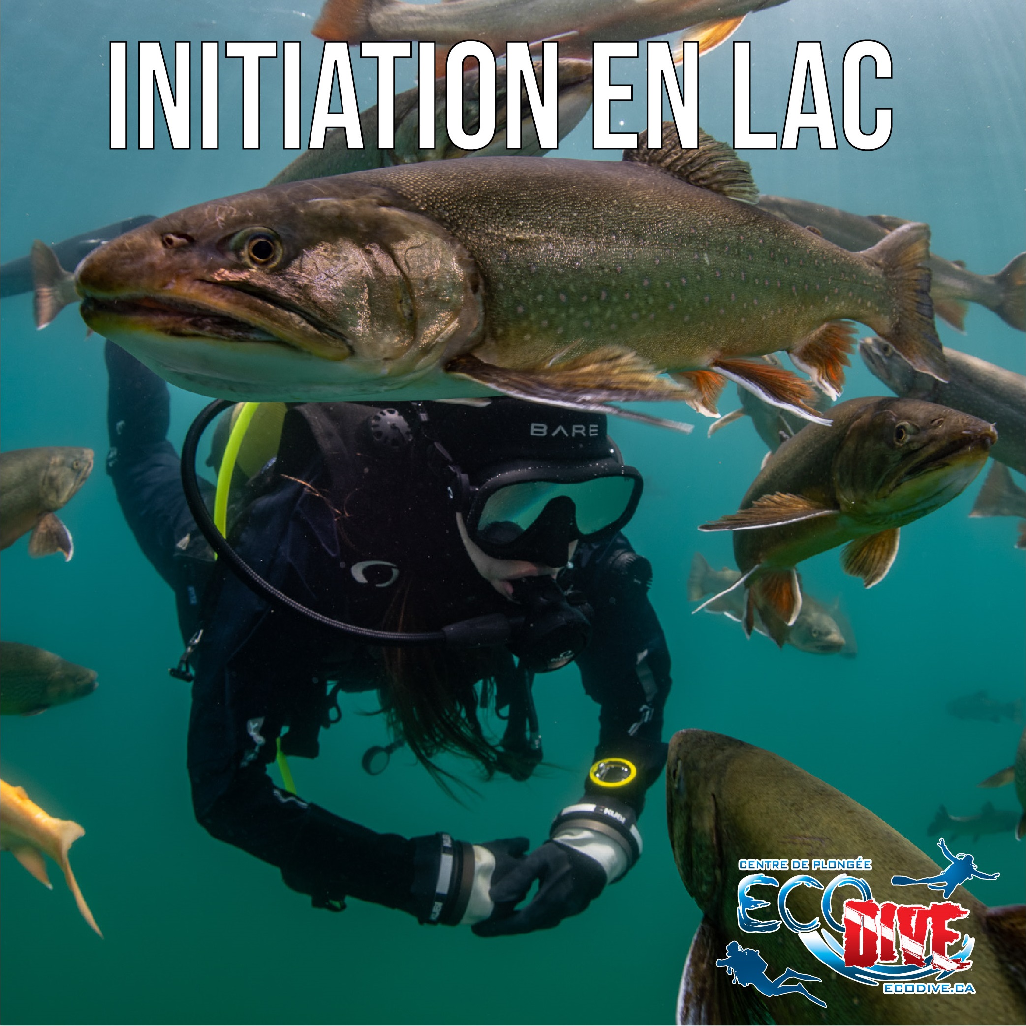 INITIATION EN LAC SUR ÉPAVE