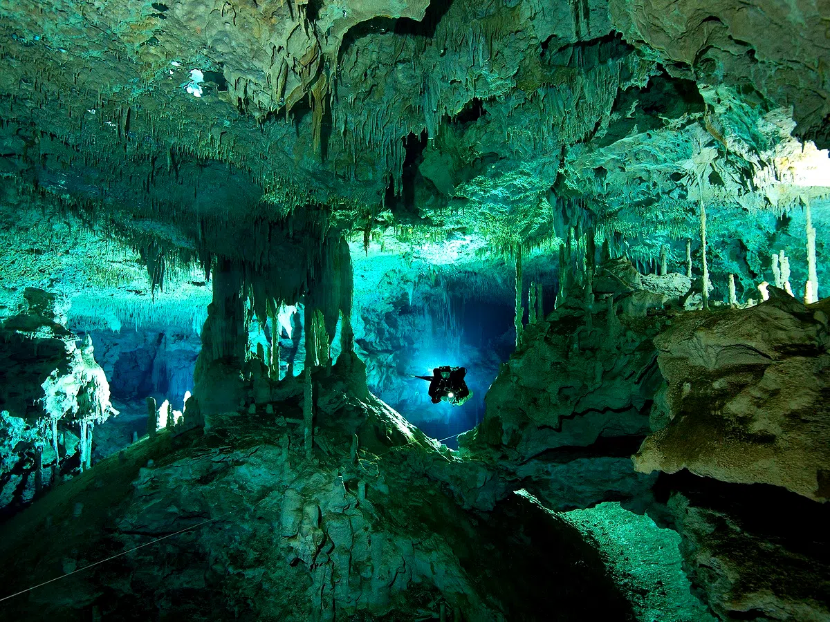 Playa Del Carmen '26