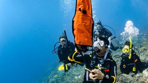 Delayed Surface Marker Buoy (DSMB) Course Delayed Surface Marker Buoy (DSMB) Course