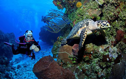 PADI Open Water and Advanced Open Water Bundle