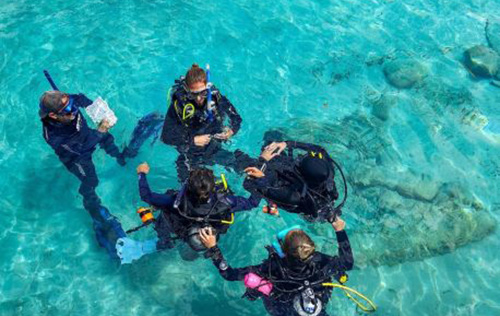 PADI Instructor Development Course in Cozumel
