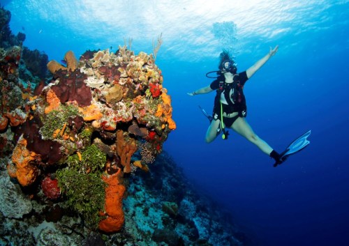Cozumel Hotel and Resort March 2026