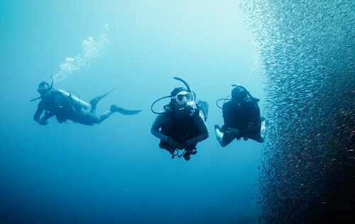 PADI Advanced Open Water Course in Cozumel