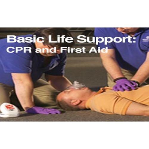 DAN BASIC LIFE SUPPORT CPR AND FIRST AID