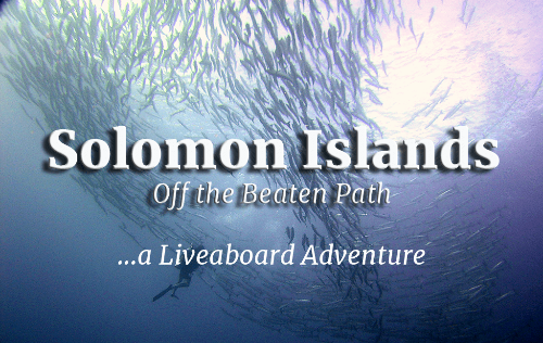 Solomon Islands Liveaboard Adventure – 2025