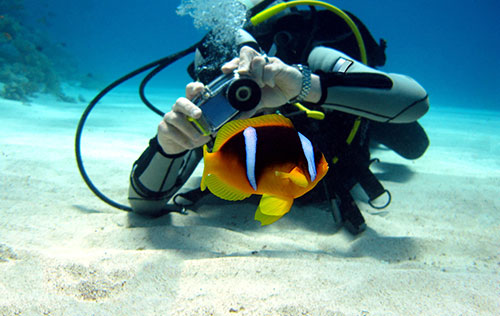 Underwater Photography – Point & Shoot