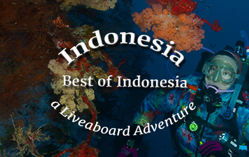 Indonesia - Best of Indonesia