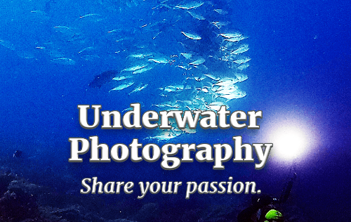 Underwater Photography for Scuba Divers