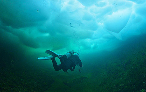 Ice Diving