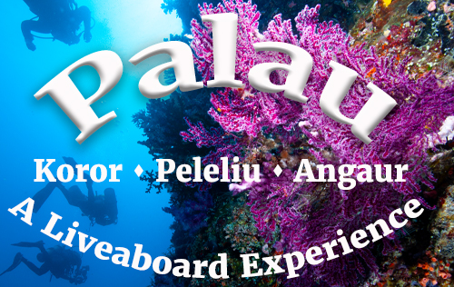 Palau - Off the Beaten Path