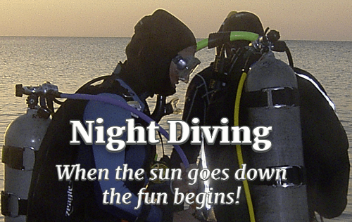 Night & Limited Visibility Diving Specialty