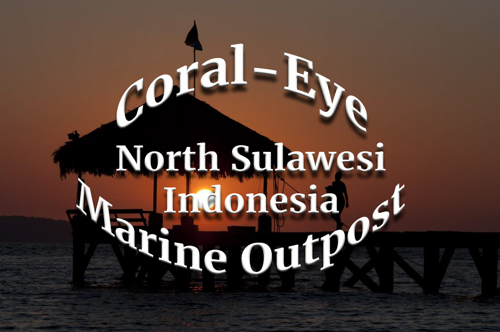 Indonesia - Coral Eye Marine Outpost
