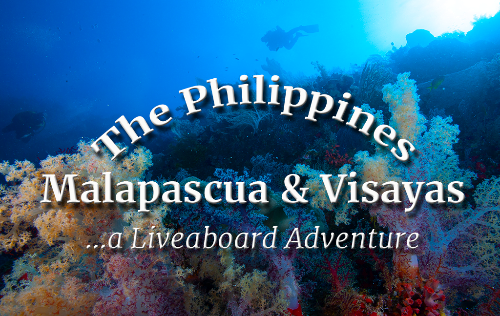 Philippines – Malapascua and Visayas 2027
