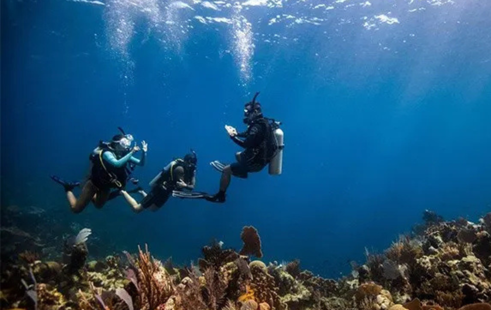 Discover Scuba Diving