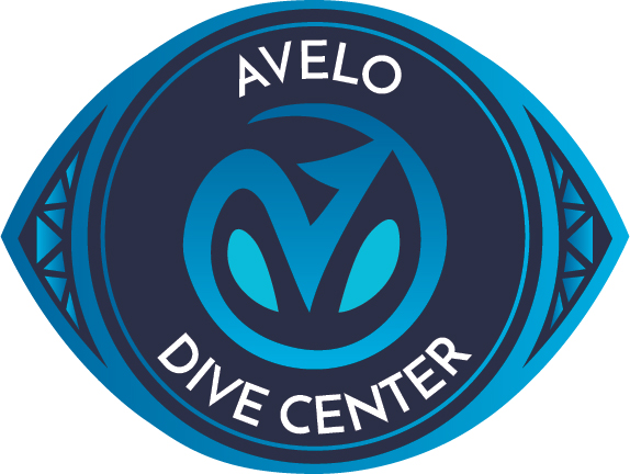 Avelo Dive System Training in Southeast Texas | Southeast Texas Scuba