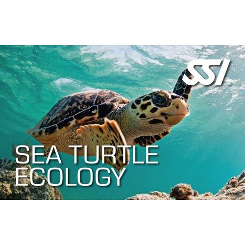 Sea Turtle Ecology Specialty Course | Divetech Houston