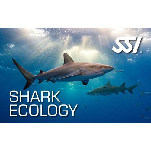 Shark Ecology Specialty Course | Divetech Houston