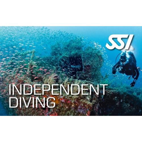 Independent Diving Specialty Course | Divetech Houston
