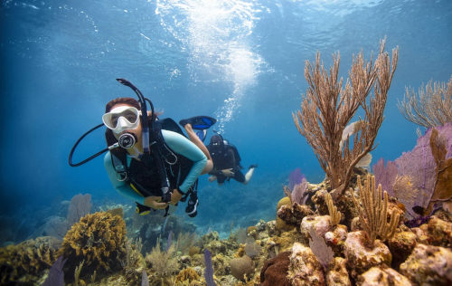 Open Water Diver