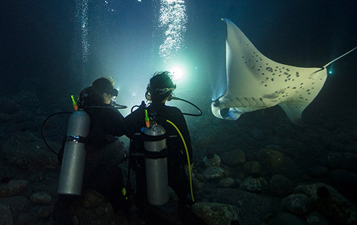Night Diver