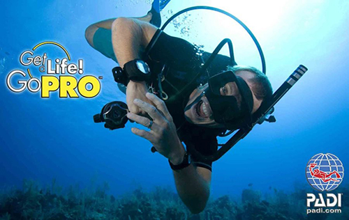 PADI Professional