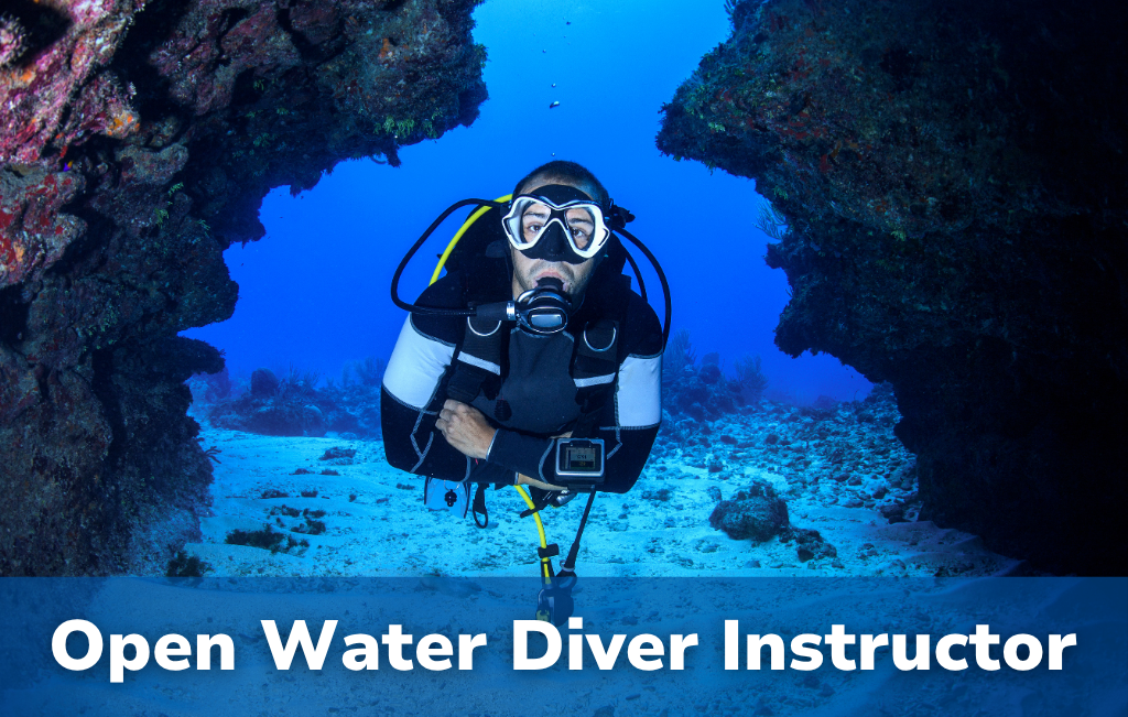 Open Water Diver Instructor