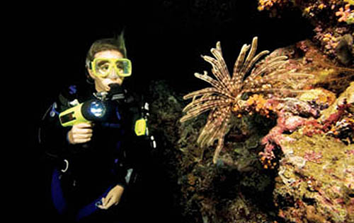 SDI Night-Limited Visibility Diver