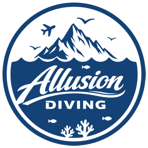Allusion Diving