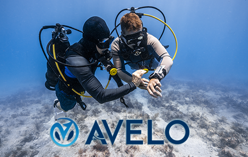 Avelo Diver