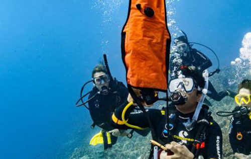 PADI Delayed Surface Marker Buoy (DSMB) Diver