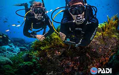 PADI ReActivate