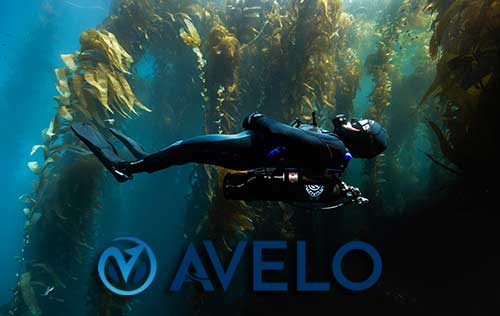 Avelo Essentials