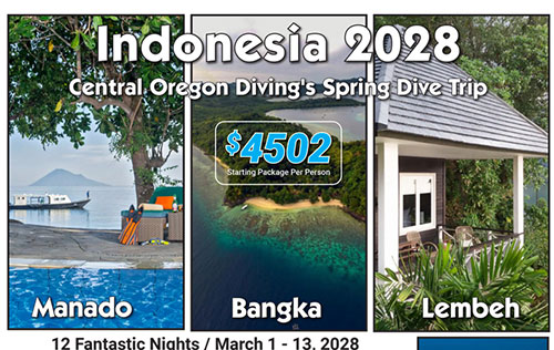 Indonesia March 1 – 13, 2028