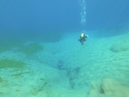 Clear Lake Clean Up and PADI Aware Fundraiser Dive Clear Lake Clean Up and PADI Aware Fundraiser Dive