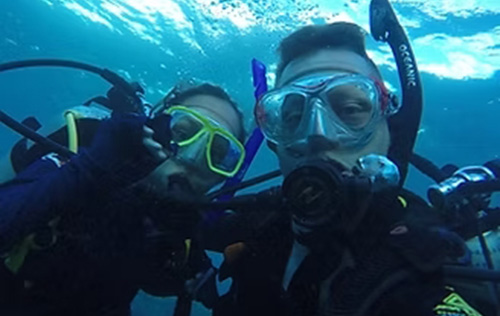 Guided Fun Dives