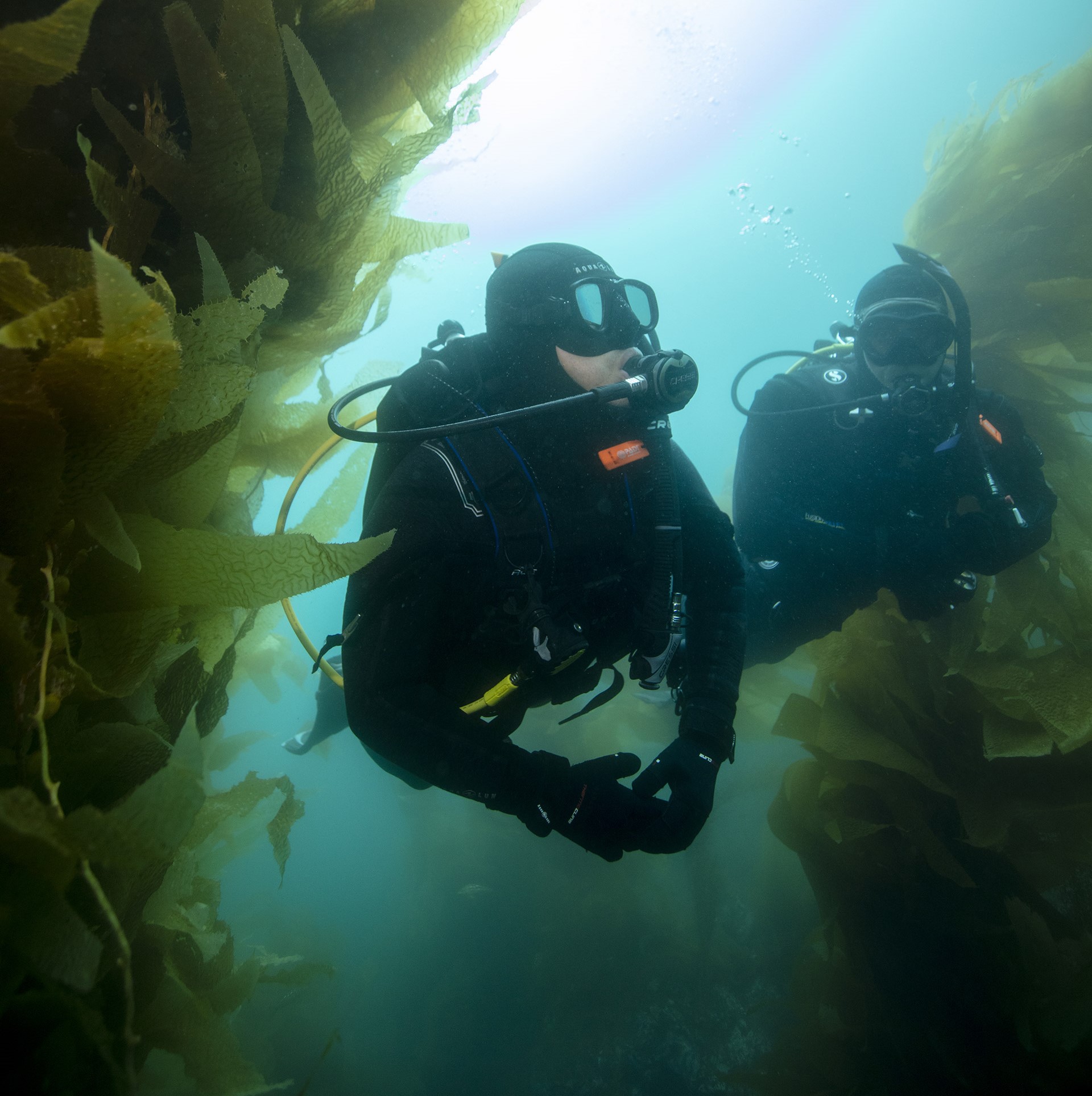 Full Open Water Course - Part 2