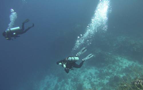 Advanced Open Water (Day 2)