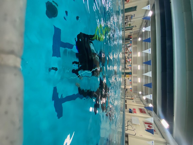 Skills Refresher Skills Refresher