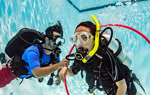 PADI Seal Team