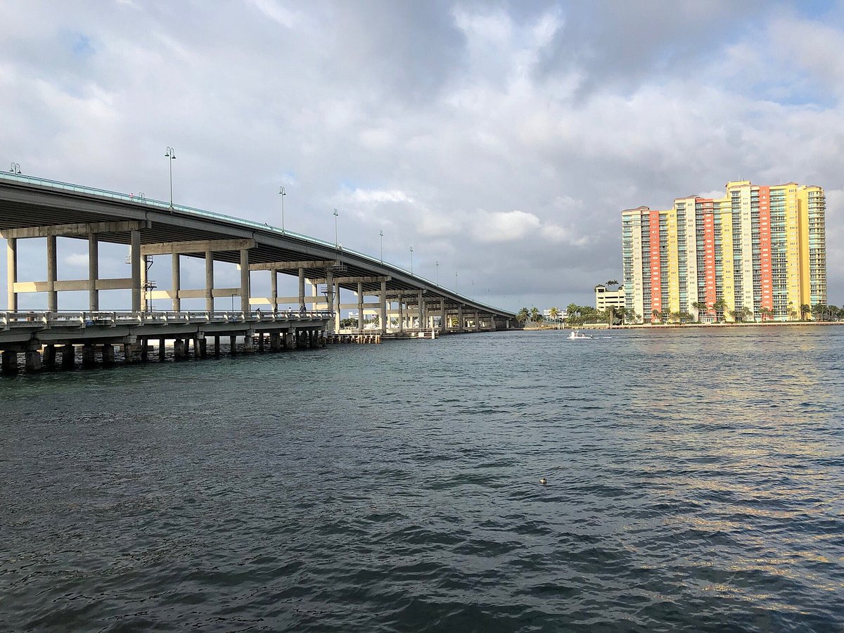Blue Heron Bridge Day Dive