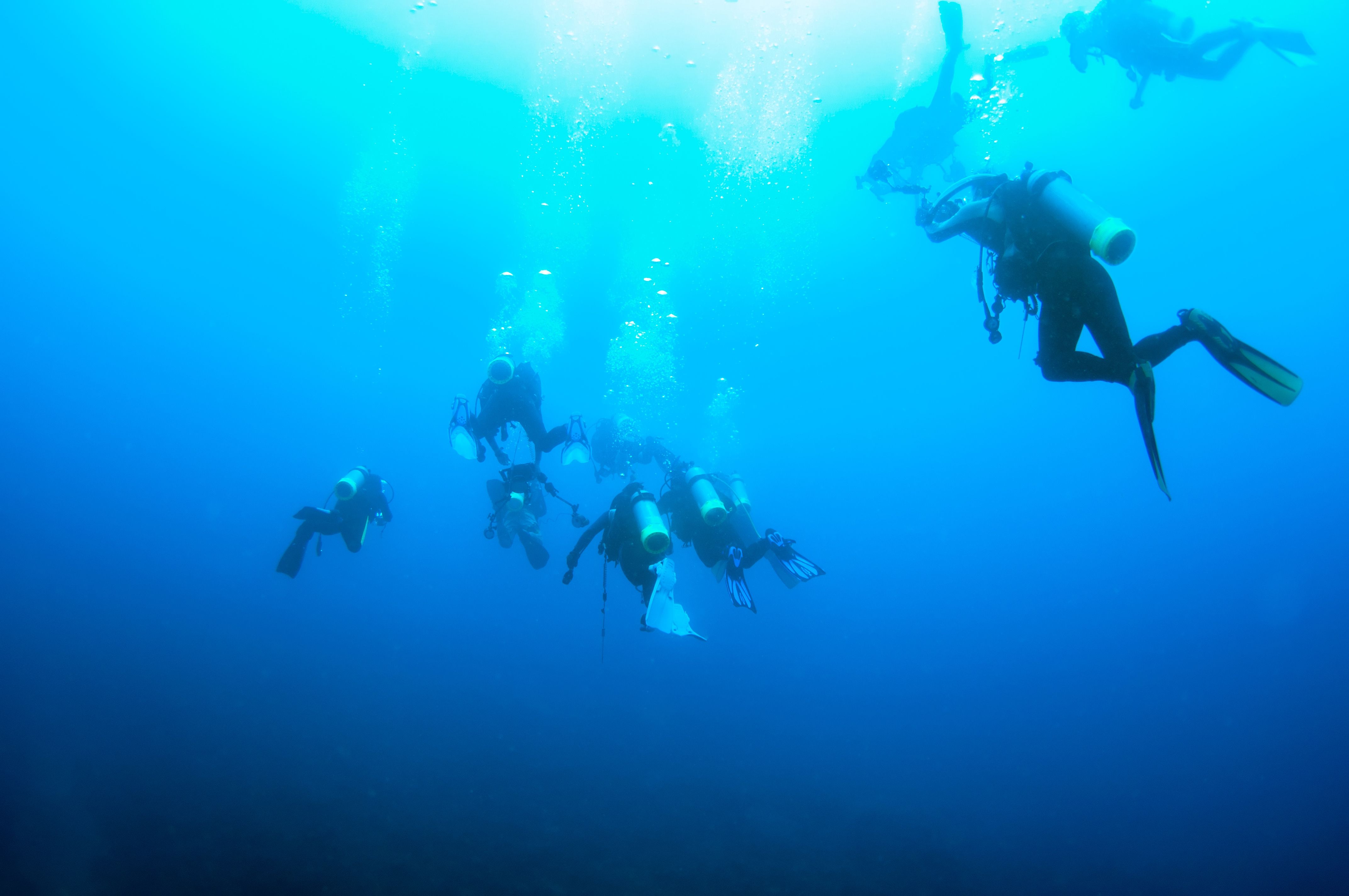 West Palm Beach 3 Tank Dives - Advanced Open Water and  Nitrox Required