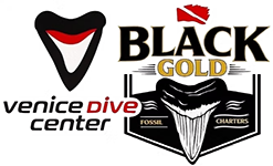 Venice Dive Center