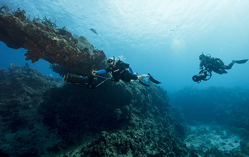 Diver Propulsion Vehicle