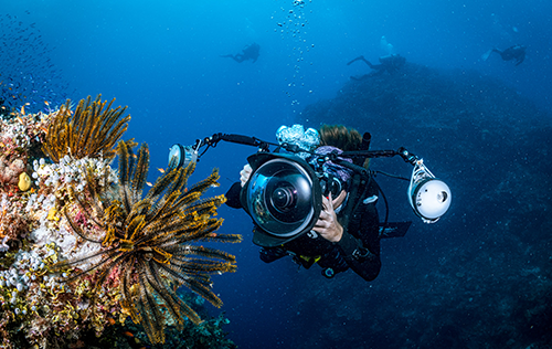 Digital Underwater Photographer