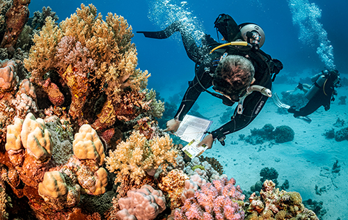 Underwater Naturalist