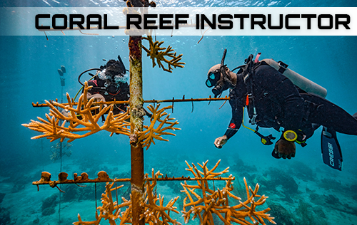 Coral Reef Conservation Instructor